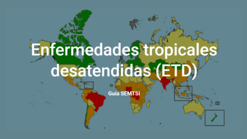 etd-guia